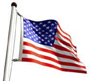Import placeholder for 1116 is attached to a flagpole and waves in the wind against a white background.