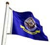 Import placeholder for 1146 is shown waving on a flagpole, with a blue field and state seal on white background.
