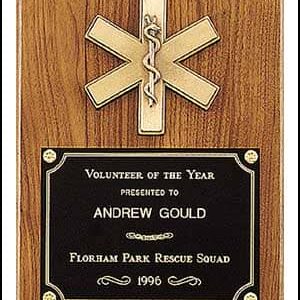 Import placeholder for 1538: Wooden plaque with medical symbol; plate reads "Volunteer of the Year, Andrew Gould, 1996.